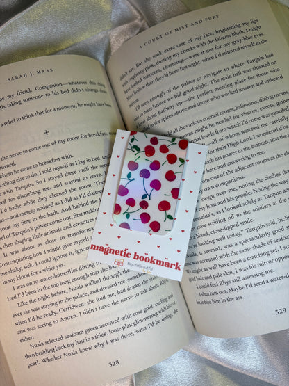Holographic Magnetic Bookmarks